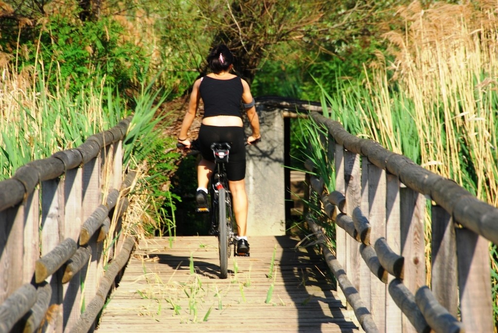 Qui non c'entra la pista ciclabile&hellip;qui si va in bici sul percorso centrale dei visitatori!